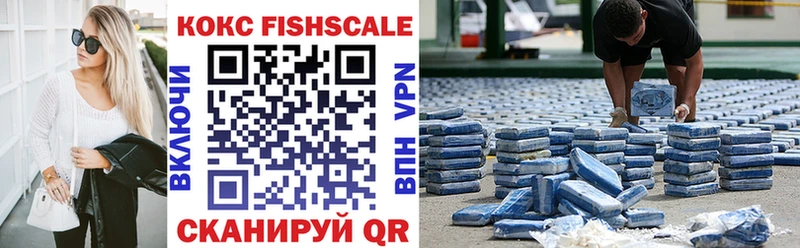 Купить закладки  Иркутск  КОКАИН FishScale 