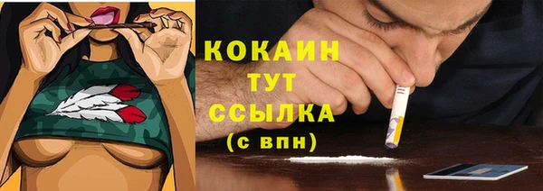 спайс Бородино