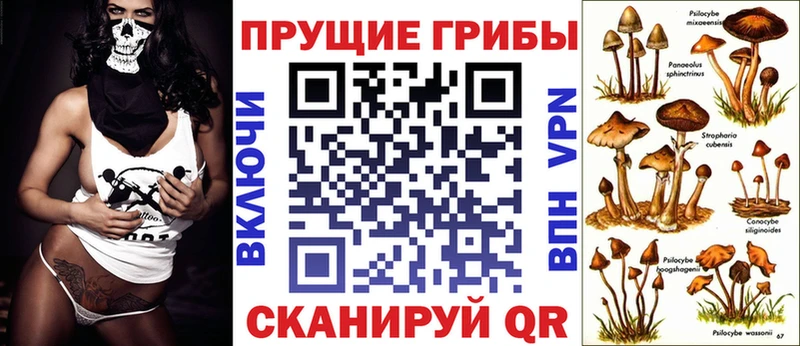 Купить  Иркутск  Галлюциногенные грибы MAGIC MUSHROOMS 